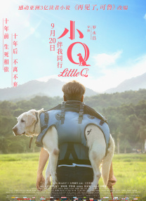 伊人久久中文大香线蕉综合